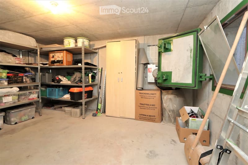 A storage room with metal shelving units filled with various items, including boxes, tools, and containers. A ladder leans against the wall, and a green electrical panel is mounted on the wall. A cabinet and a toilet are also visible.