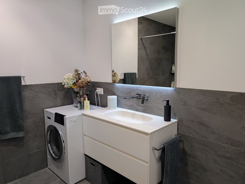 Modern bathroom with a white sink, mirror, and built-in storage. Includes a washing machine, towel, and decorative vase with flowers.