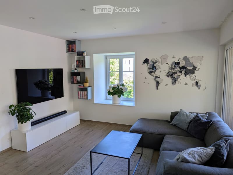 Modern living room with a grey sectional sofa, glass coffee table, flat-screen TV, built-in bookshelf, and potted plants.