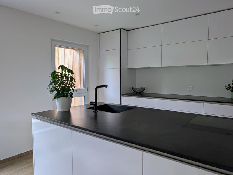 Modern kitchen with white cabinets, black countertop, sink, faucet, and a potted plant on the counter.