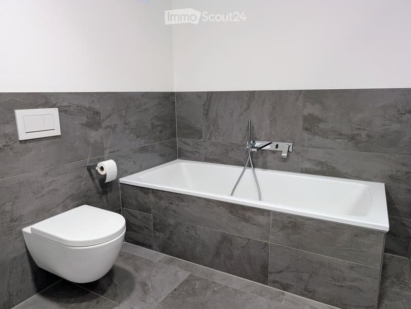 Modern bathroom with a white bathtub, toilet, and grey marble tiles on walls and floor. Includes a handheld showerhead and a toilet paper holder.