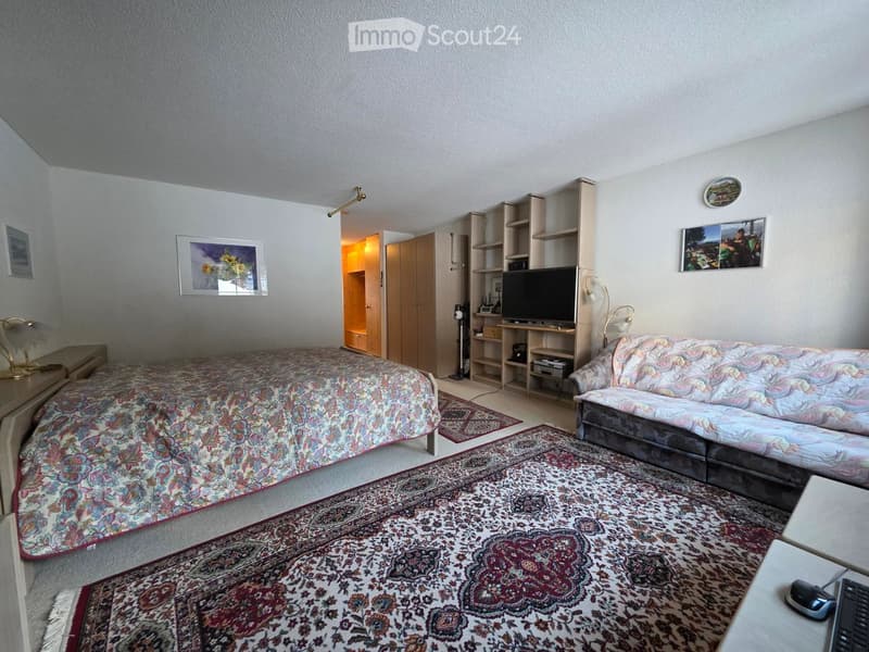 Bedroom with bed, couch, TV, carpet, shelves, and pictures on the wall