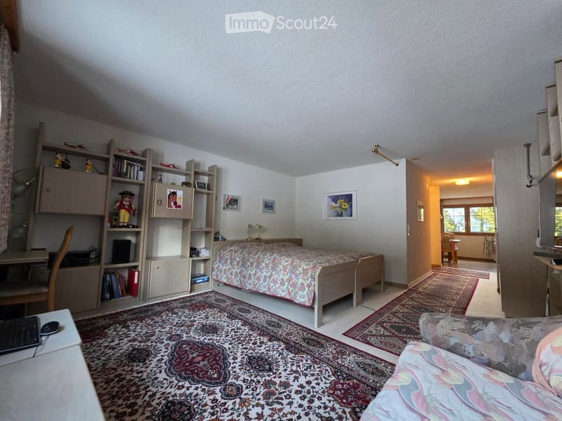 Bedroom with bed, rug, desk, chair, shelves, and a couch