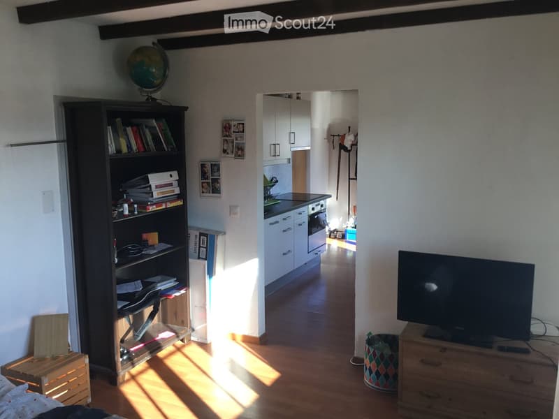 A well-lit room with wooden flooring, a bookshelf filled with books and decorative items, a television on a wooden stand, and a view into a modern kitchen area with white cabinets and stainless steel appliances.