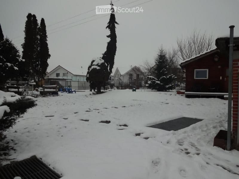 Snow-covered backyard with trees, a small shed, and a paved area. The yard is surrounded by neighboring houses and a fence.