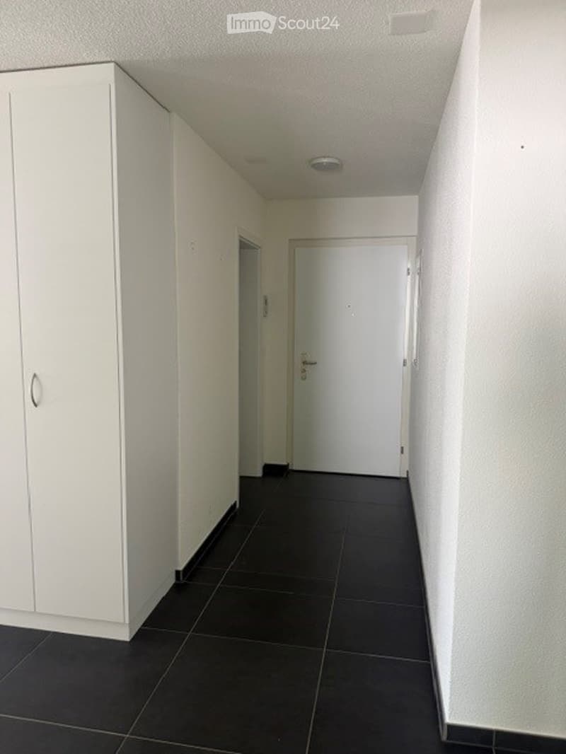 Empty hallway with white walls, black tiled floor, white cabinet on left, and a closed white door at the end.