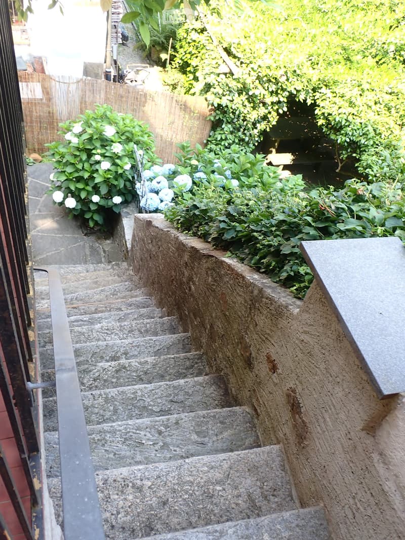 Stone steps leading up to a garden area with lush greenery and flowering plants, including white and blue blooms, surrounded by a wooden fence and a metal railing.