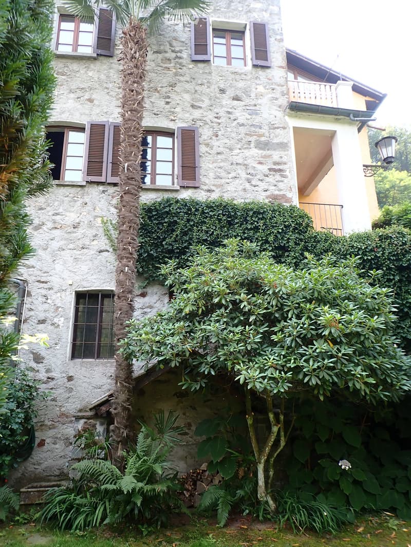 A two-story stone house with multiple windows, shutters, and a balcony on the upper level, surrounded by lush greenery and a palm tree.