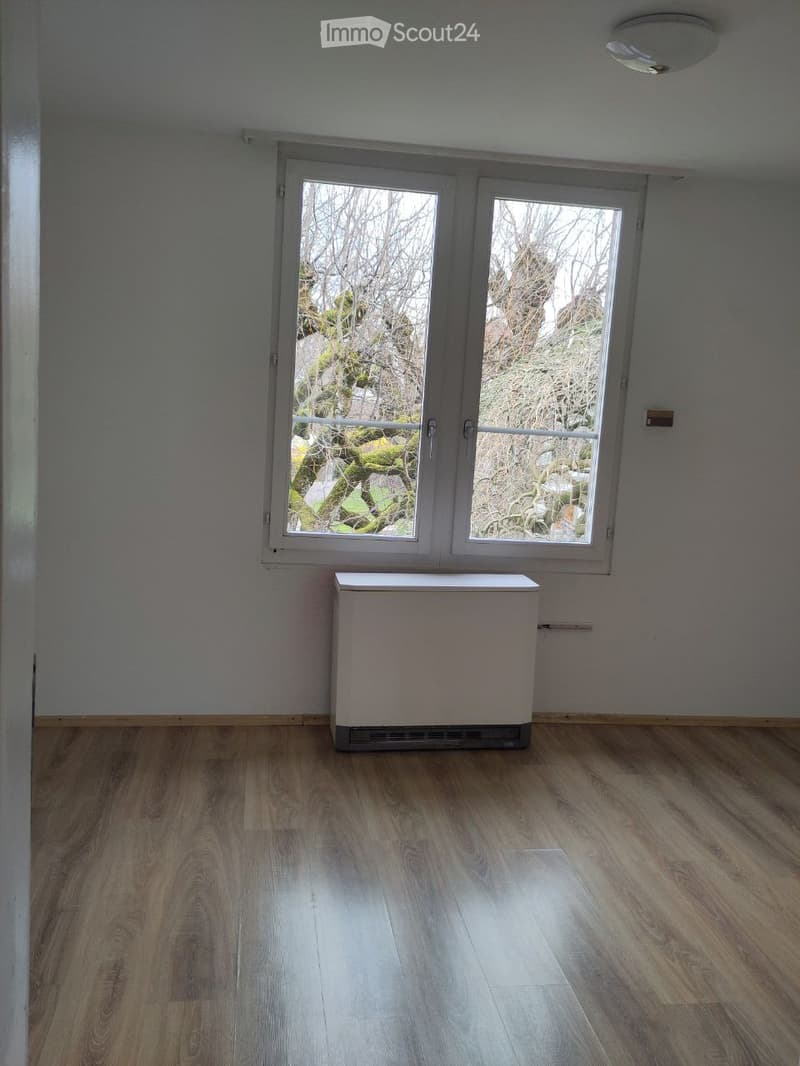 Empty room with wooden flooring, white walls, large double windows, and a radiator. No furniture or personal items are present.