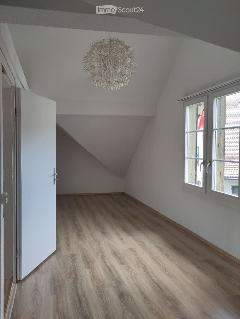 Empty attic room with wooden flooring, white walls, and a skylight window. A decorative chandelier hangs from the sloped ceiling.