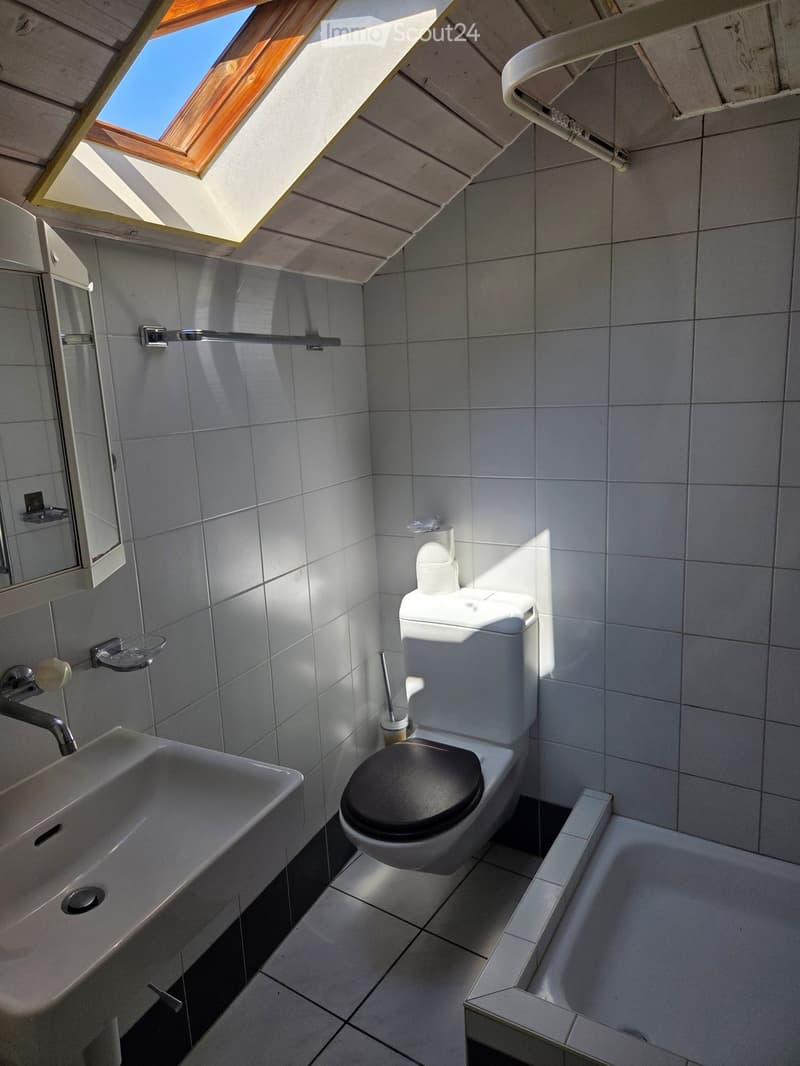 Modern bathroom with white tiles, a sink, toilet, bathtub, and a skylight window providing natural light.