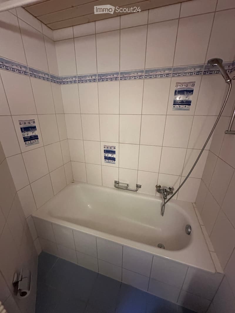 Bathtub with a handheld shower hose and faucet, tiled walls with decorative border, toilet paper visible on the floor.