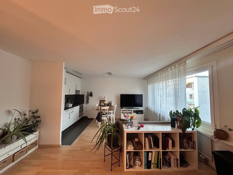 A modern, open-concept living and dining area with a sofa, coffee table, bookshelf, television, dining table, chairs, kitchen cabinets, and plants.