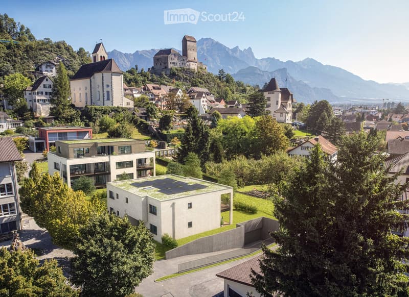 House with solar panels on the roof, raised ground floor, surrounded by trees and plants, with a view of mountains in the background.