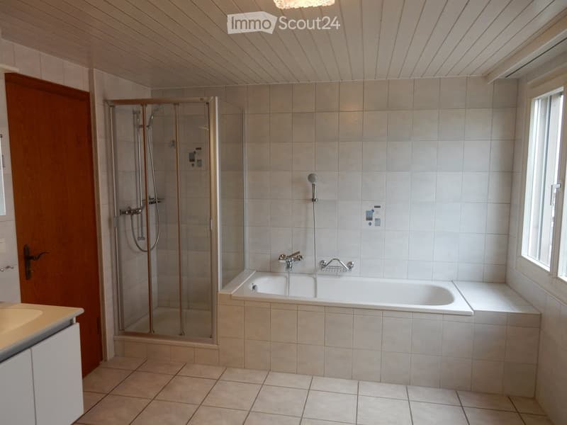 Spacious bathroom with tiled walls and floor, a bathtub, a shower enclosure, and a vanity unit with a sink and faucet. The room also has a private washing machine and a dishwasher.
