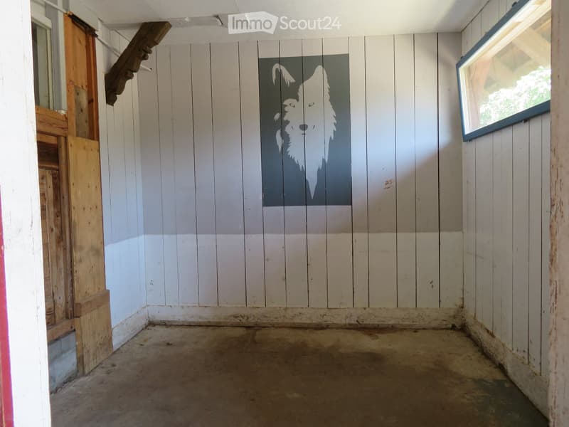 Empty room with white wooden panel walls, a mural of a wolf, a window, and a wooden door frame.