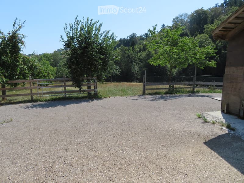 Gravel driveway with wooden fence, metal gate, and trees in the background.