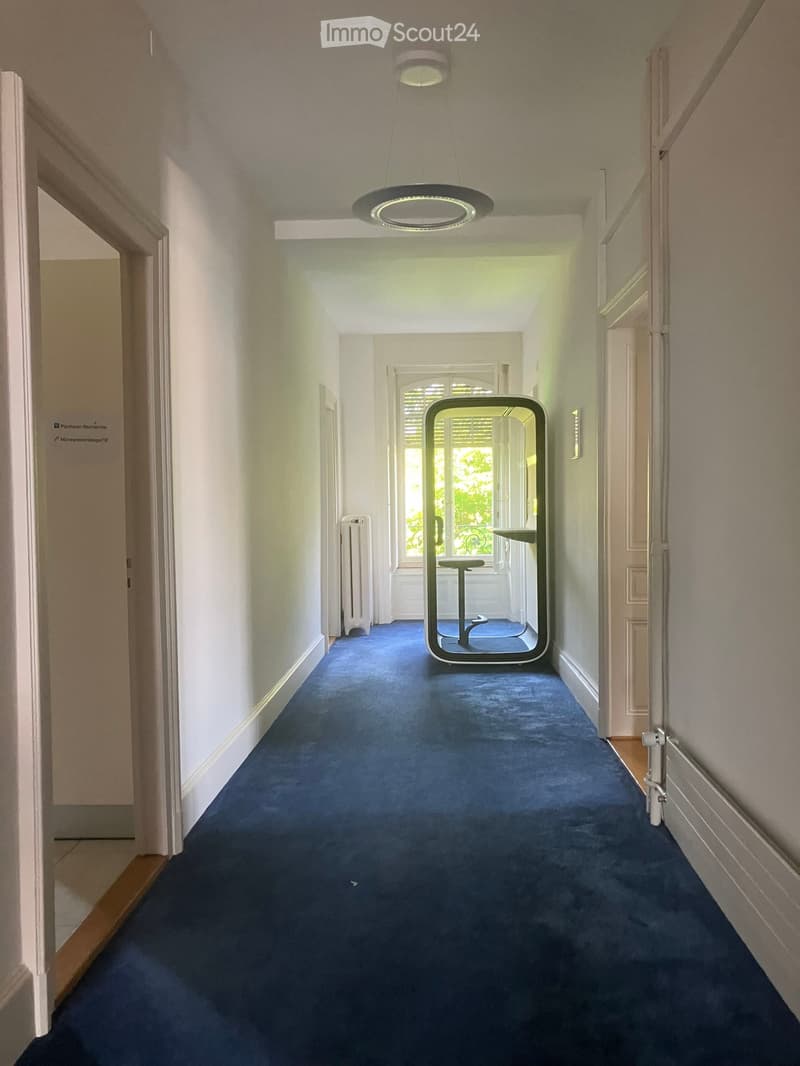 A long, carpeted hallway with white walls, a central ceiling light fixture, and a large mirror on the floor reflecting a window and part of the room beyond.