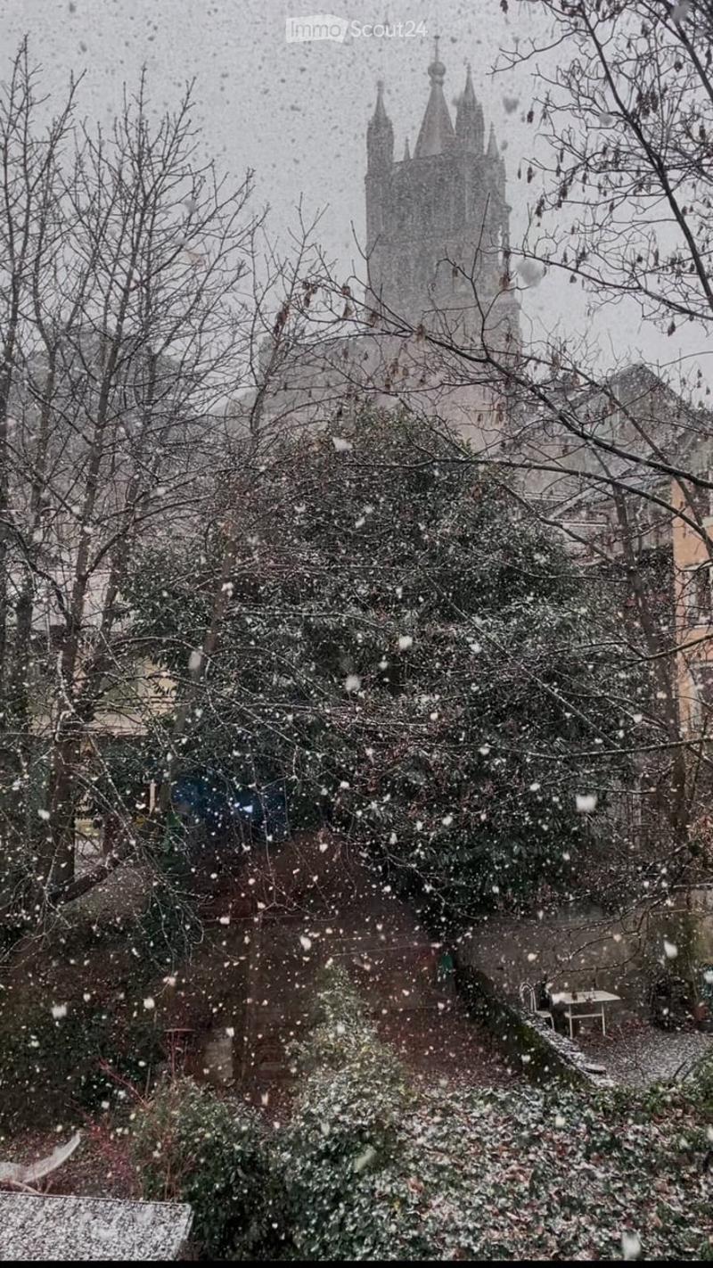 Snow-covered garden with bare trees, a small table and chair, and a distant view of a tall, ornate building with spires.