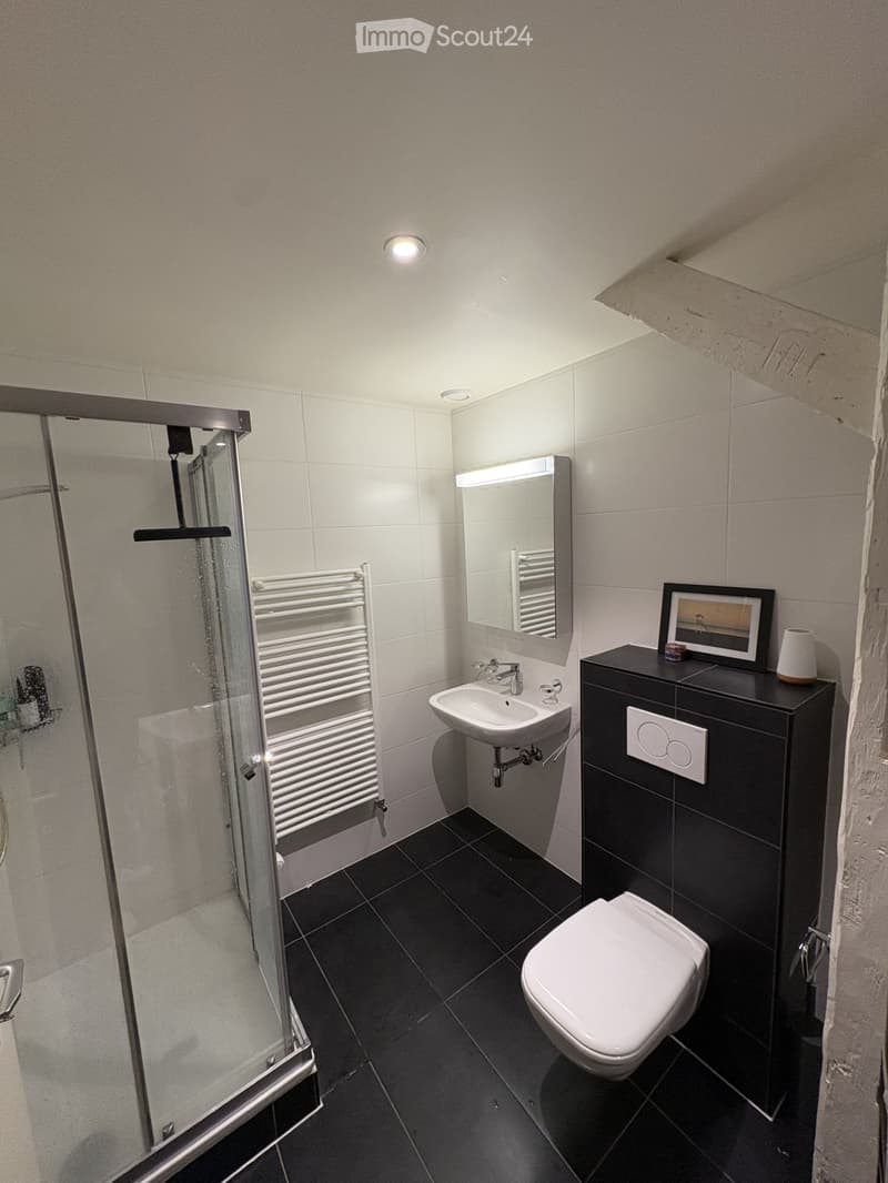 Modern bathroom with black tiles, white fixtures, a glass-enclosed shower, a sink with a mirror, a toilet, and a radiator.