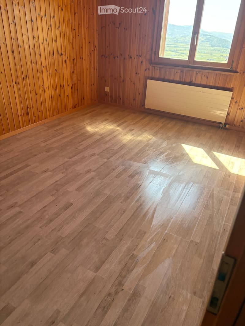 Empty room with wooden walls and floor, large window with scenic view, radiator, and two small yellow mats on the floor.