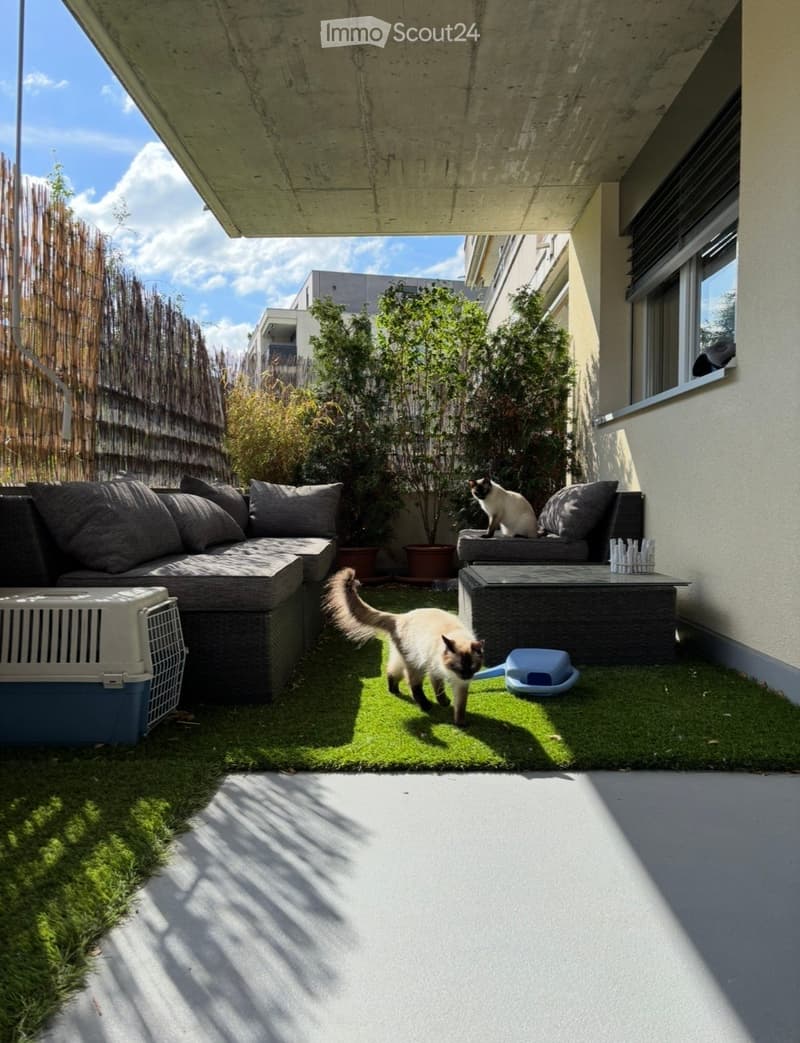 A modern outdoor patio with a grey sectional sofa, a small table, a cat carrier, and a cat litter box. The area features artificial grass, potted plants, and a bamboo screen for privacy.