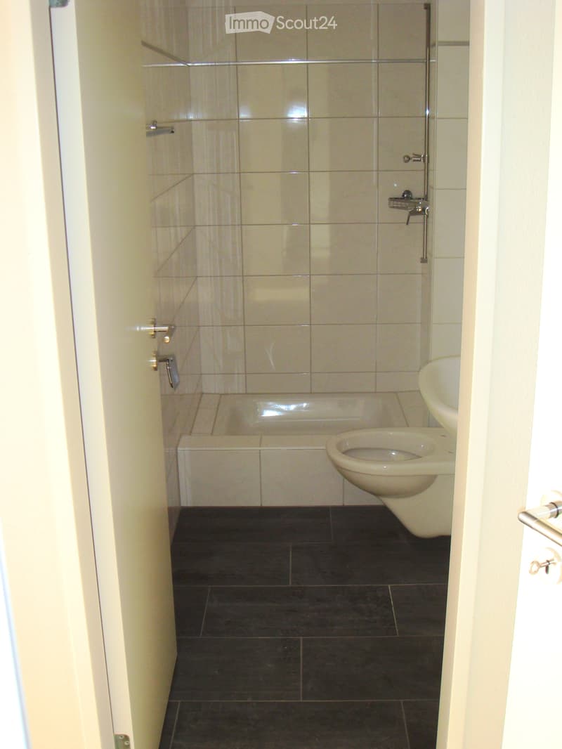 Modern bathroom with a toilet, showerhead, and faucet, featuring tiled walls and a large mirror.