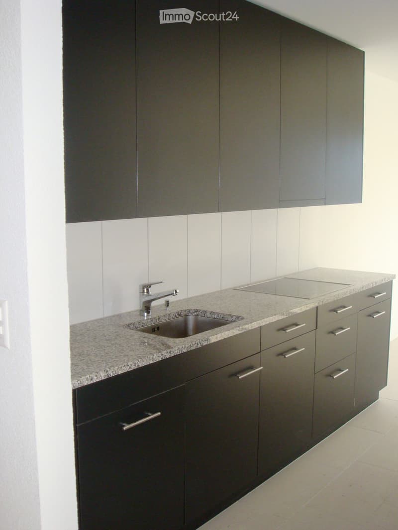 Modern kitchen with dark grey cabinets, granite countertop, and a single faucet.