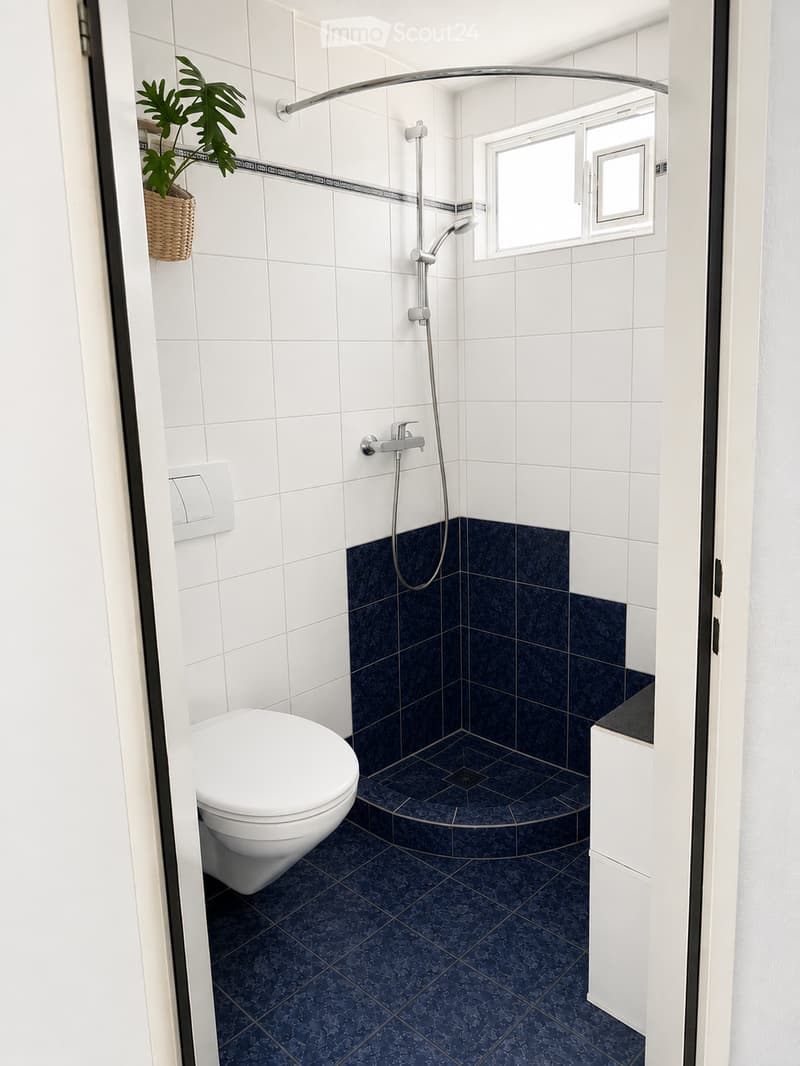 Modern bathroom with white tiles, dark blue lower tiles, a toilet, a shower with a handheld sprayer, and a small potted plant on the wall.