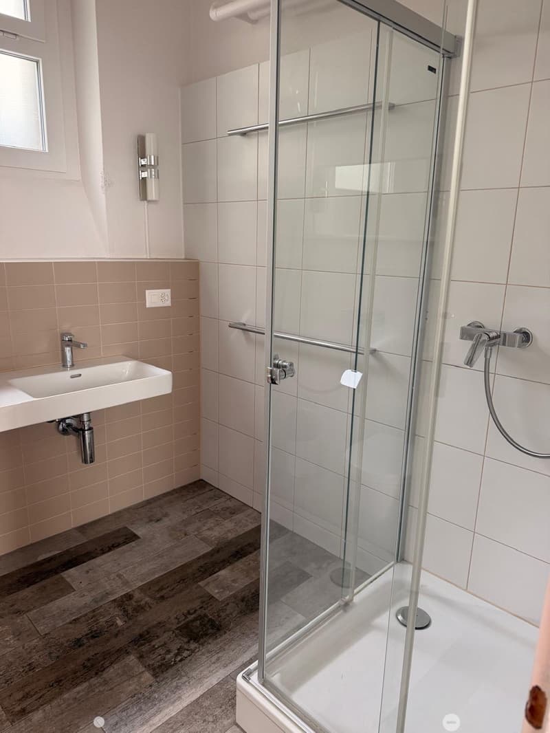 Modern bathroom with a white sink, glass-enclosed shower, and wooden flooring.