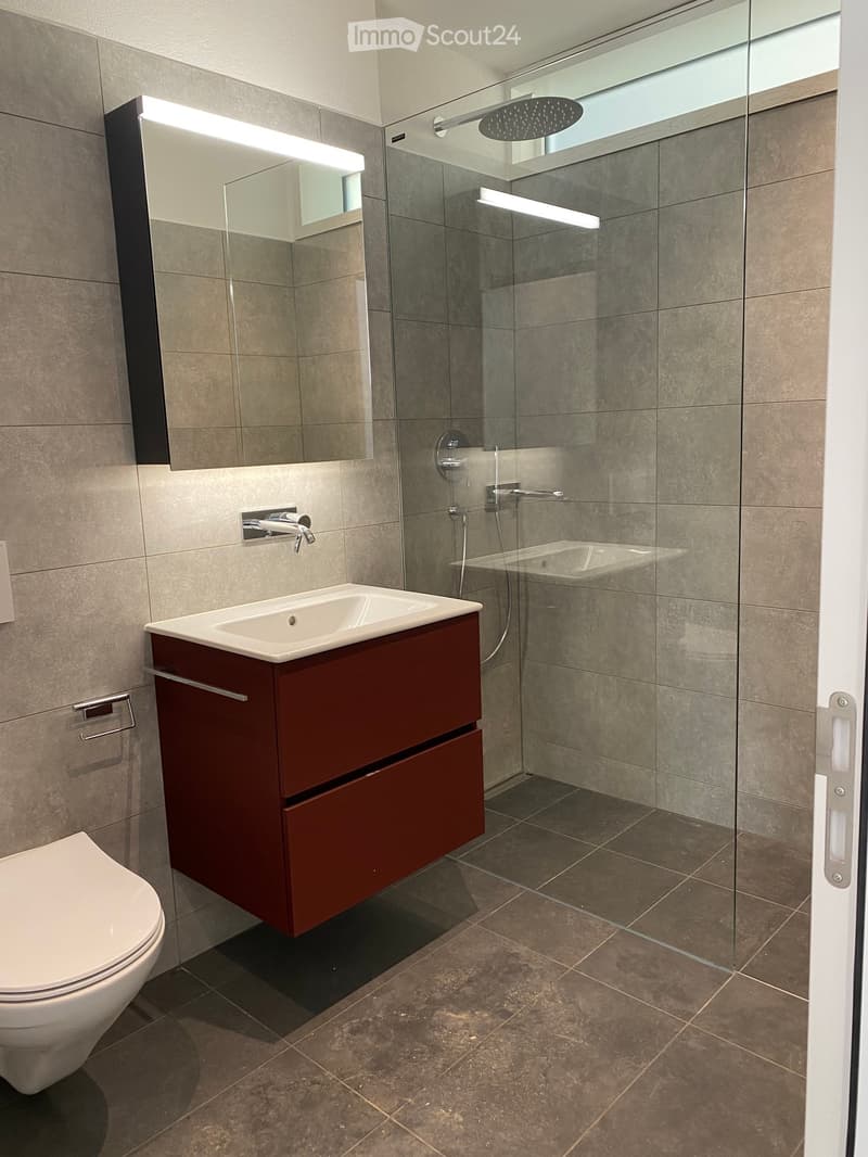 Modern bathroom with a dark red vanity, white sink, large mirror, glass-enclosed shower, and a toilet.