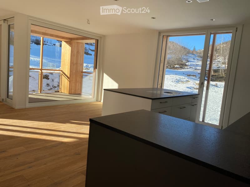 Modern kitchen with wooden flooring, large windows offering a scenic snowy mountain view, and grey cabinets with black countertops.