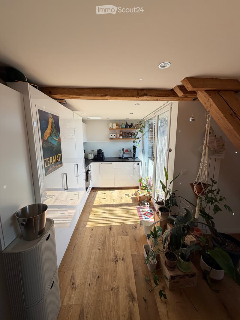 Bright, open-plan kitchen and living area with wooden flooring, white cabinets, and a large window. Features include a refrigerator, sink, coffee maker, potted plants, and a colorful rug.