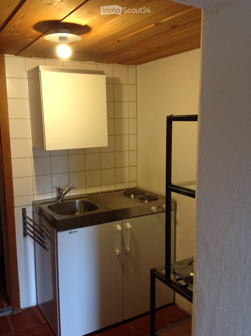 Compact kitchen with a sink, faucet, refrigerator, cabinets, and an induction cooktop. The space features tiled walls and a wooden ceiling.
