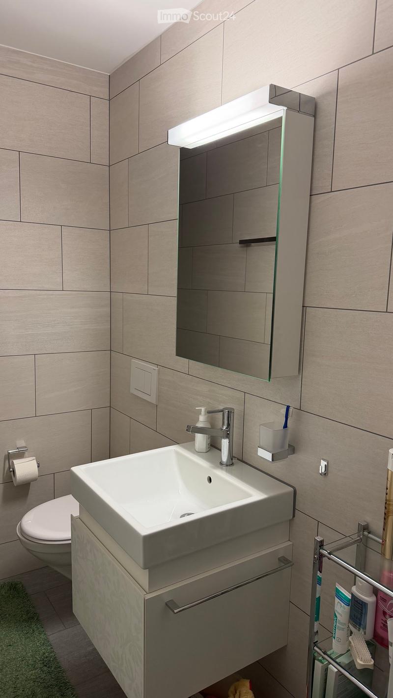 Modern bathroom with a white sink, chrome faucet, large mirror with built-in lighting, toilet, and various toiletries on a towel rack and cabinet.