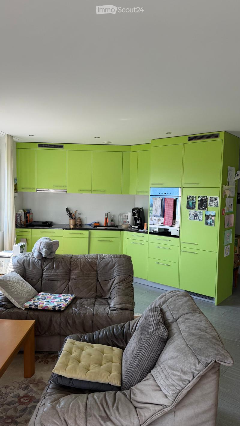 A modern living room with a grey sectional sofa, a wooden coffee table, a grey armchair with a cushion, and a small elephant toy on the sofa. The room is adjacent to a kitchen area with bright green cabinets, a refrigerator, and various kitchen appliances