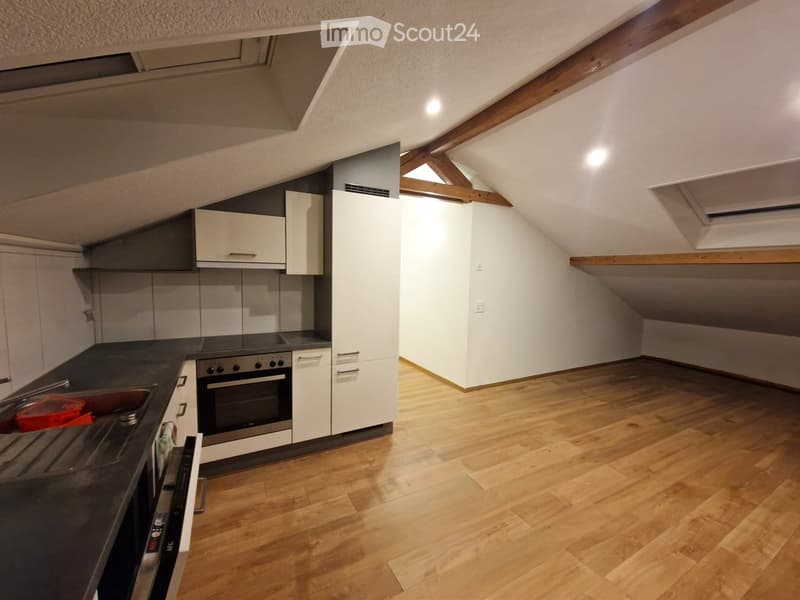 modern kitchen with white cabinets, wooden floor, granite countertop, stainless steel appliances, sink, oven, extractor hood, skylight