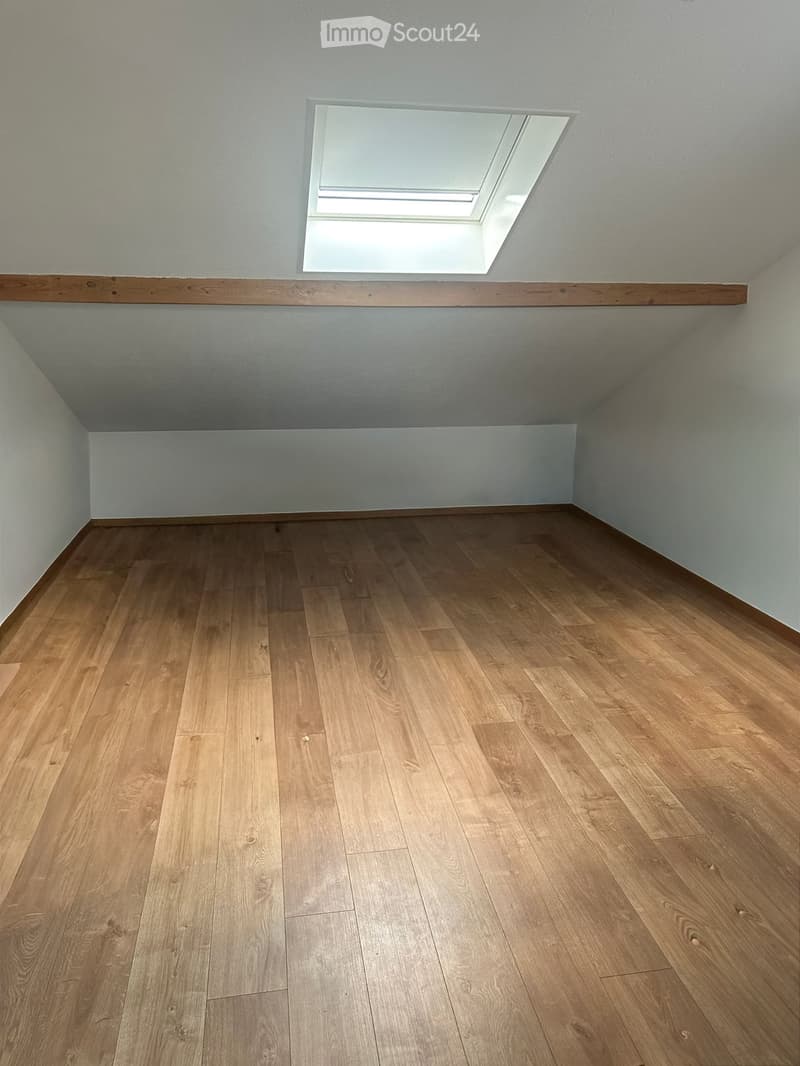 empty attic room with wooden laminate flooring and skylight