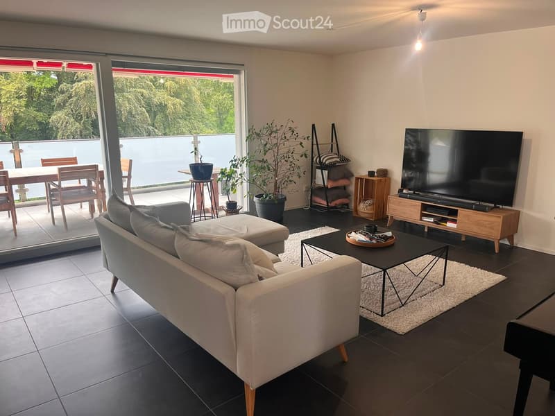 Modern living room with a grey sofa, coffee table, TV, side table, and potted plants. Large windows and a balcony are visible.