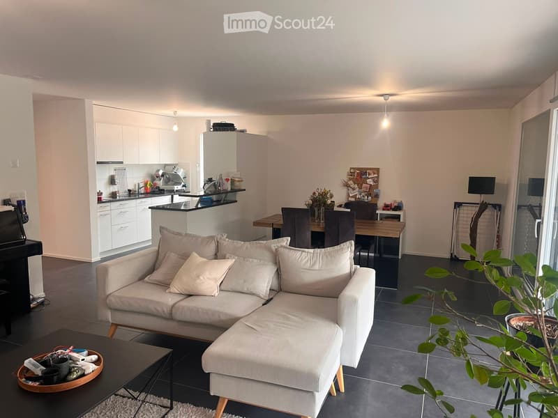 Modern open-plan living and dining area with a light-colored sofa, coffee table, dining table with chairs, kitchen area with cabinets and appliances, and a small plant in the corner.
