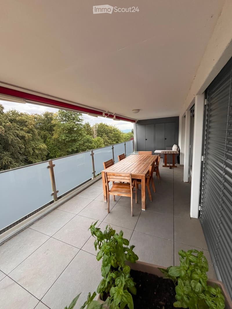 Balcony with a wooden dining table and chairs, glass railing, and potted plants.