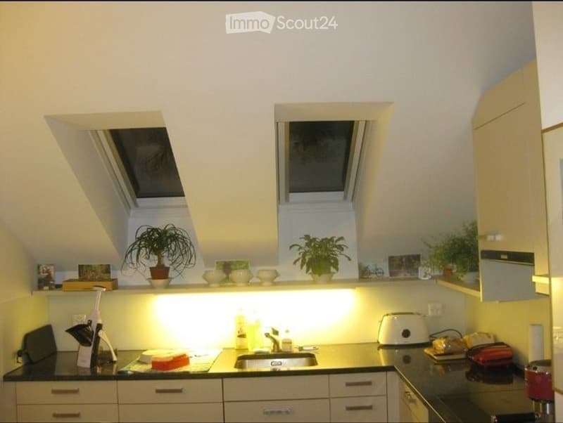 Modern kitchen with white cabinets, black countertops, and built-in skylights. Features include a sink, toaster, potted plants, and various kitchen items on the counter.