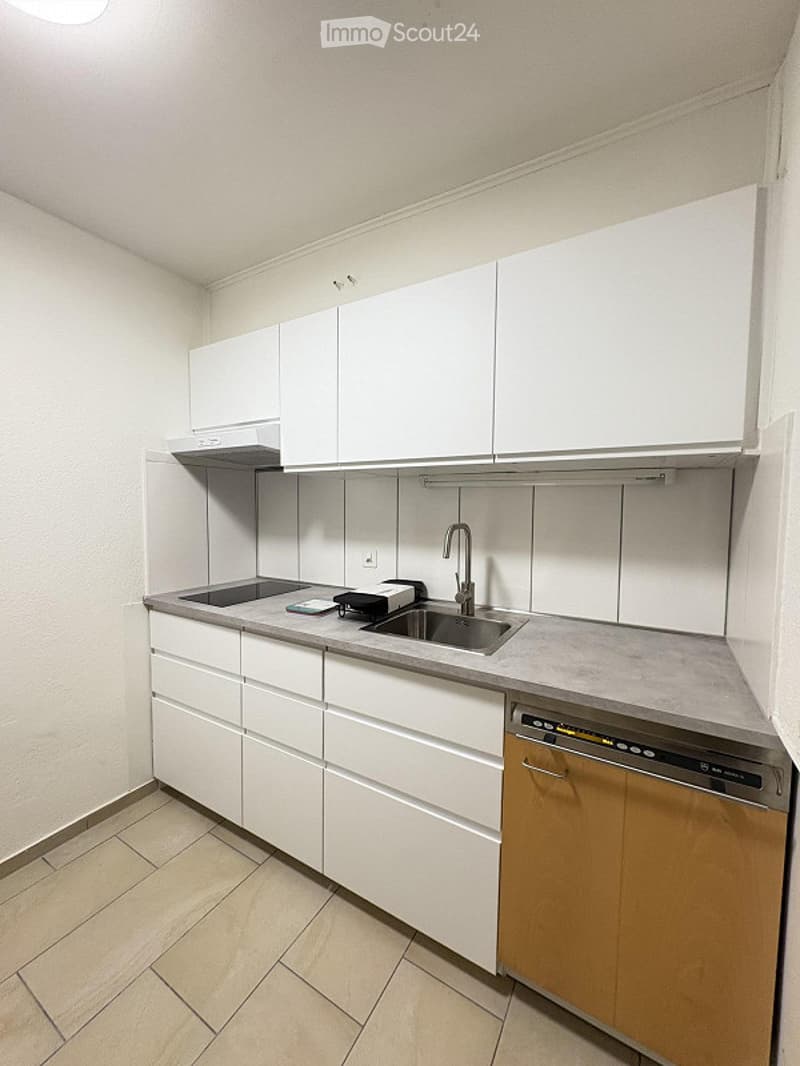Modern kitchen with white cabinets, a stainless steel sink, a faucet, and a built-in dishwasher. The countertop is light grey, and the floor is tiled.