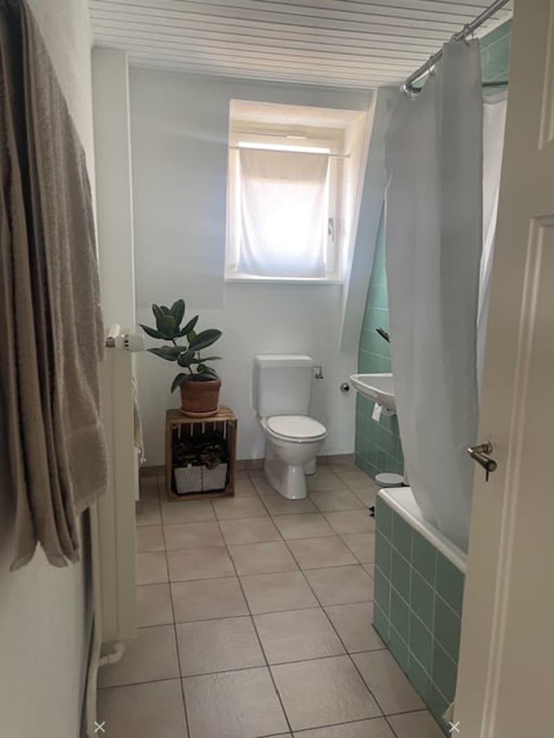 Bright bathroom with white walls, tiled floor, toilet, sink, bathtub with green tiles, and a small plant on a wooden shelf.