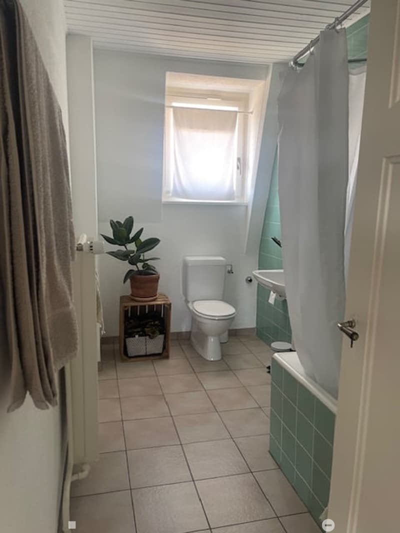 Bright bathroom with white walls, tiled floor, toilet, sink, bathtub with green tiles, and a small plant on a wooden shelf.