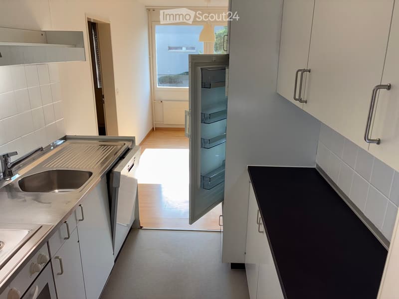 Modern kitchen with white cabinets, stainless steel sink, and a view to a balcony area.