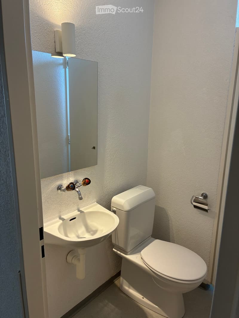 Compact bathroom with a white toilet, sink, and mirror. Features a modern faucet and a toilet paper holder mounted on the wall.