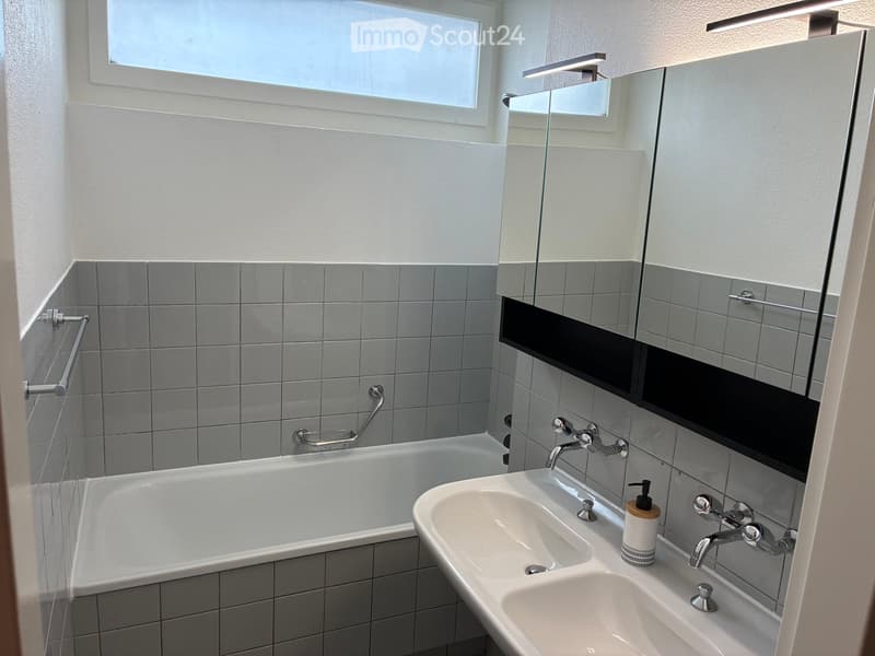 Modern bathroom with a bathtub, double sink, large mirror, and sleek chrome fixtures.