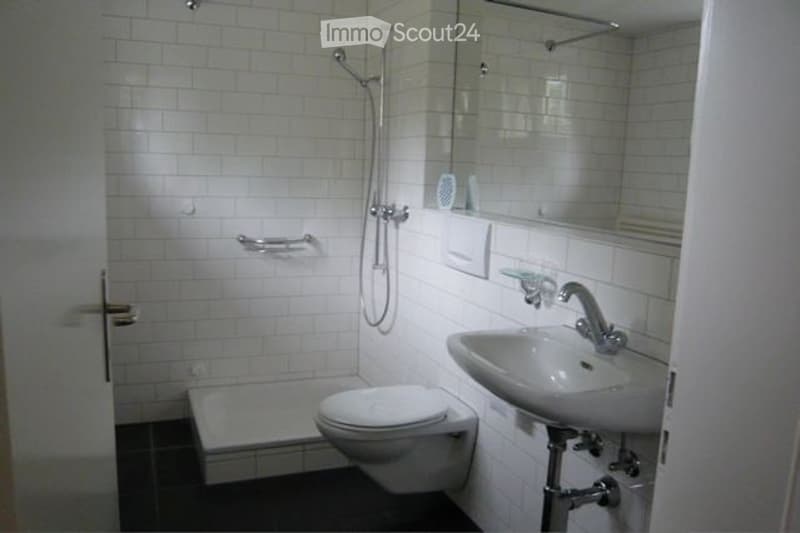 Modern bathroom with white tiled walls, a toilet, a sink with a chrome faucet, a shower with a handheld sprayer, and a mirror above the sink.