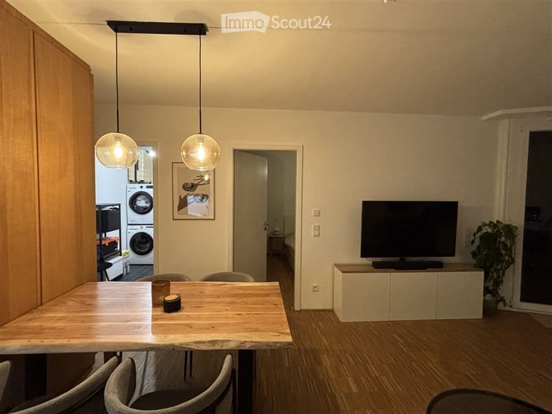 Bright, modern dining area with a wooden table, chairs, pendant lights, a TV on a cabinet, and a plant near the window. A private washing machine is visible in the adjacent room.